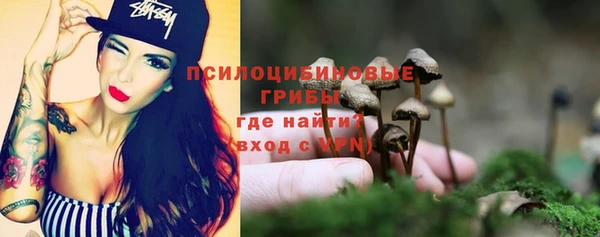 МДПВ Новозыбков