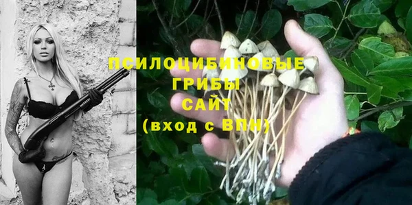 МДПВ Новозыбков