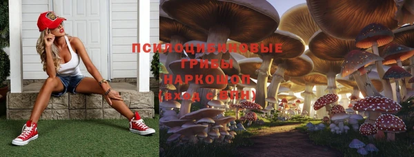 ALPHA PVP Новодвинск