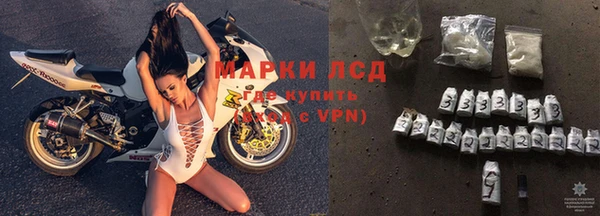 МДПВ Новозыбков