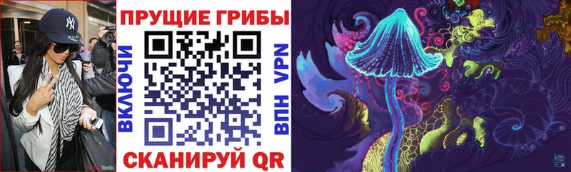 площадка как зайти  Красный Кут  Галлюциногенные грибы мухоморы  купить наркотики цена  МЕГА рабочий сайт 